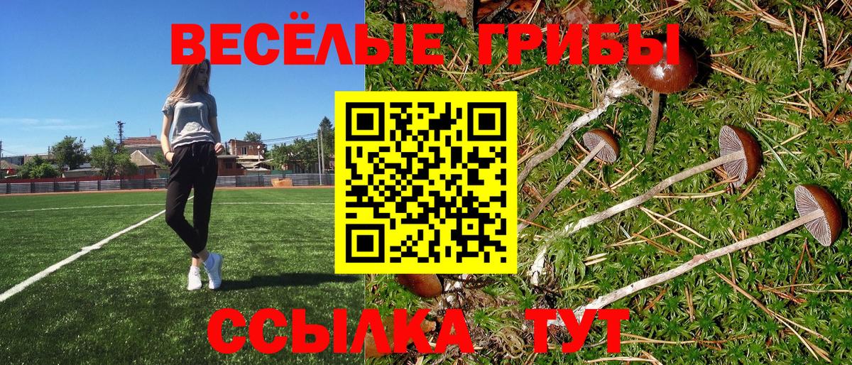 Галлюциногенные грибы мицелий Сорочинск